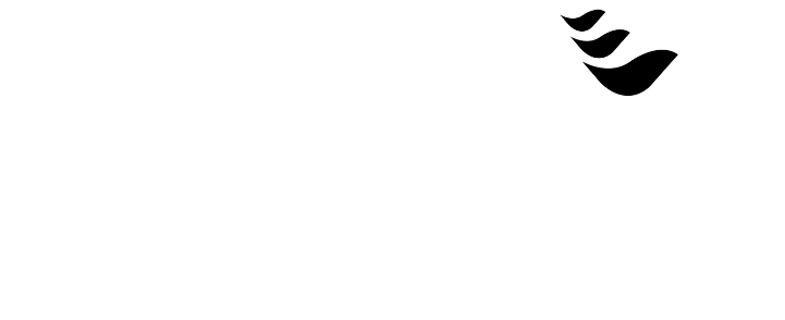 Eventos Dreams
